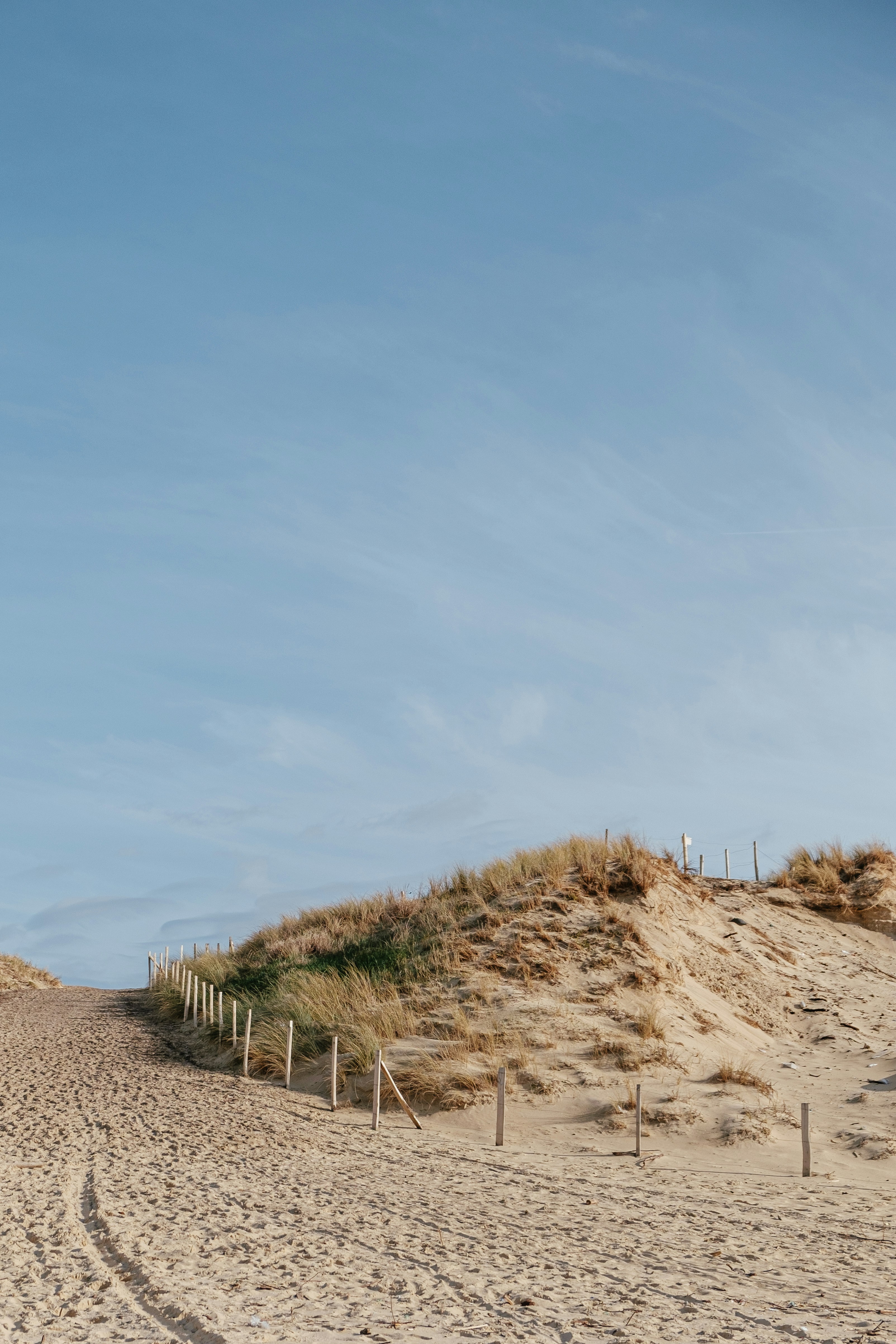 Photo by olgaserjantu