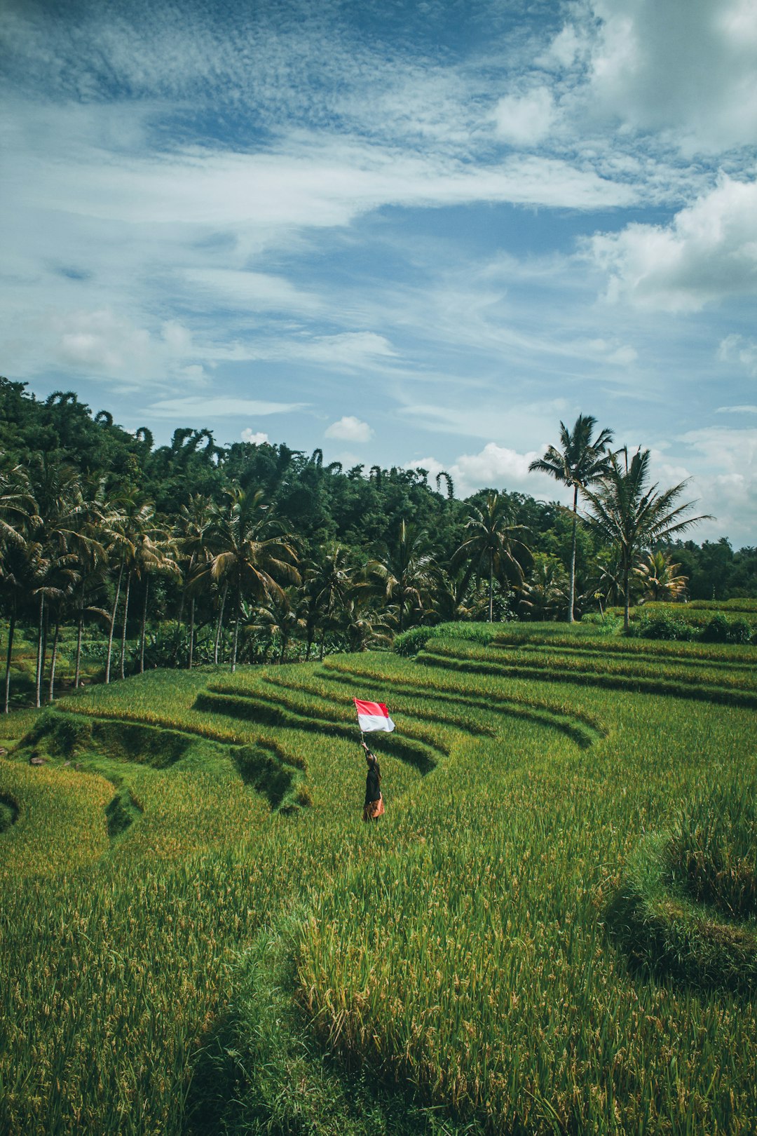 Highland photo spot Pamotan Kota Batu