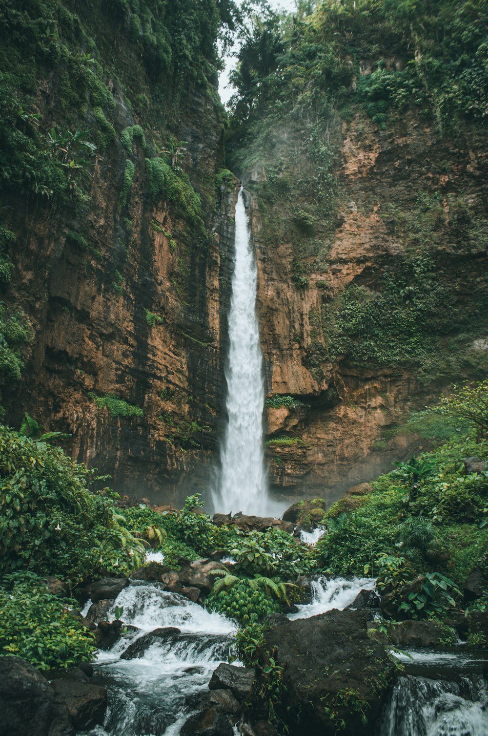 waterfalls in the middle of the forest