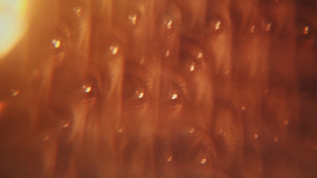 clear plastic container with water droplets