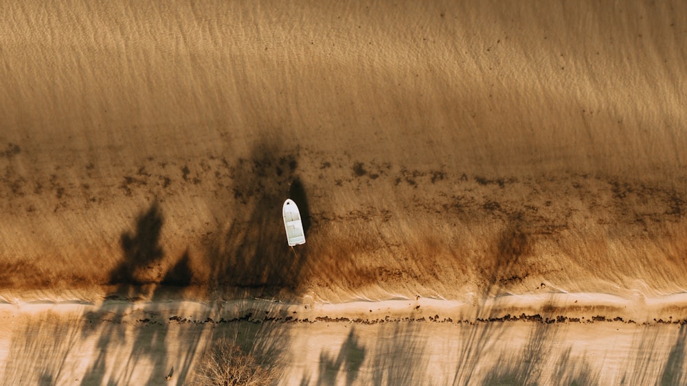 white and black paper plane on brown field