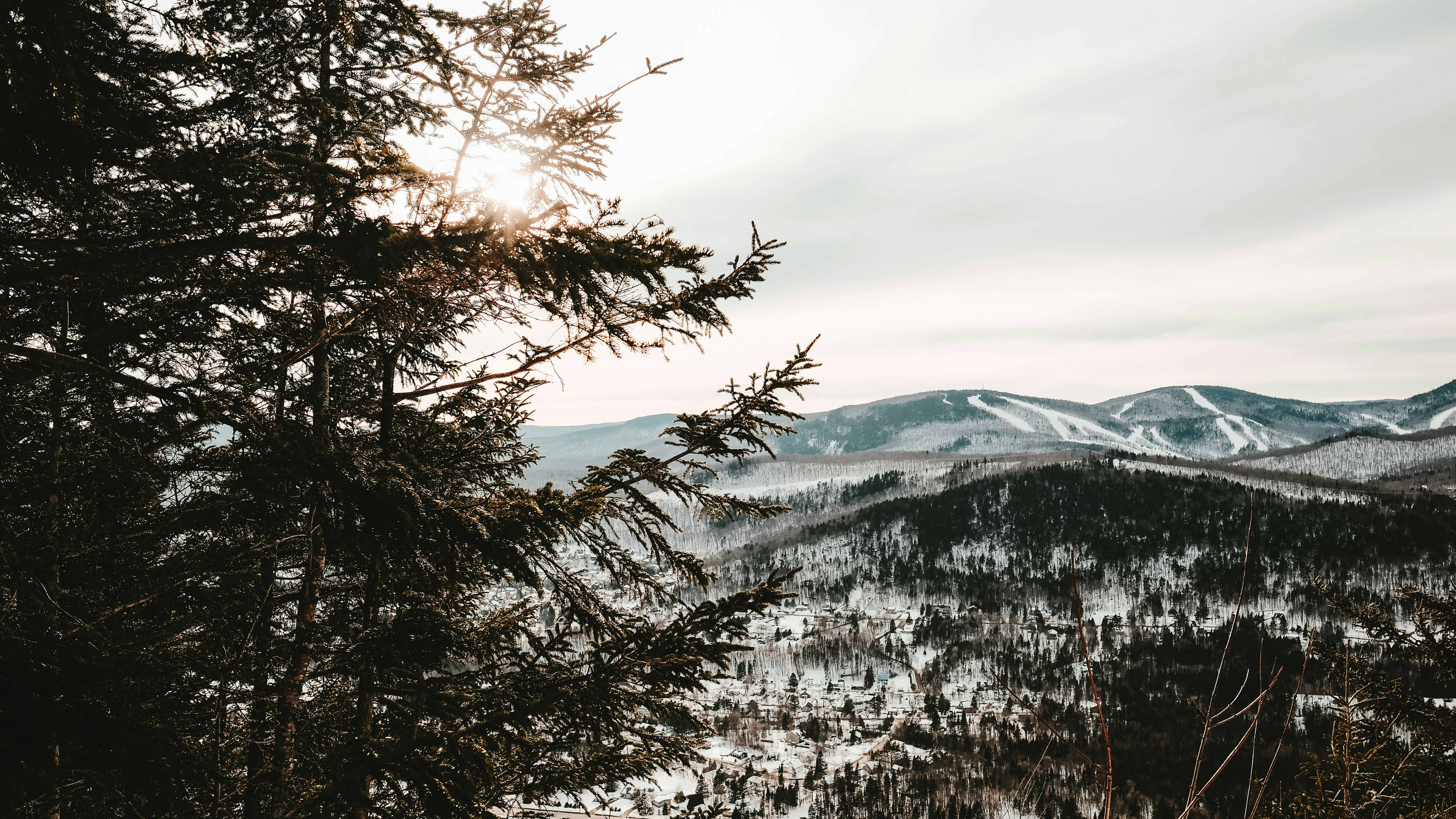 snow covered trees and mountains during daytime