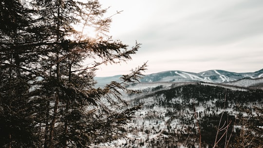 snow covered trees and mountains during daytime in Stoneham Canada