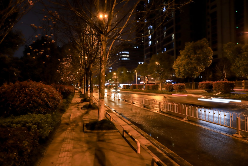 brown wooden bench near trees and body of water during night time