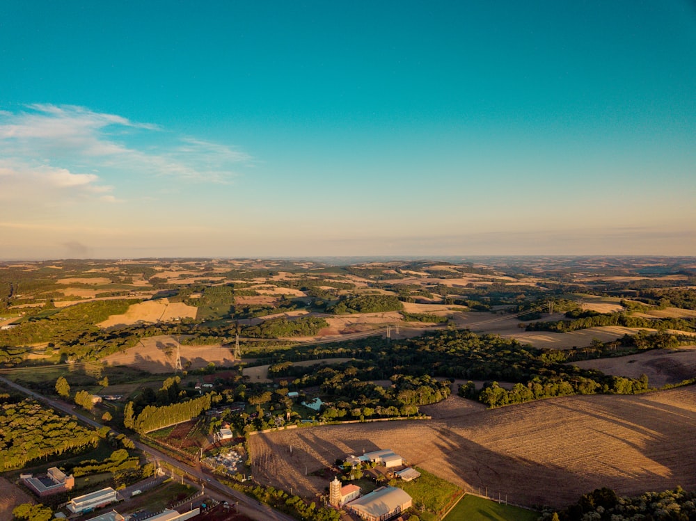 aerial view of green trees and green grass field during daytime