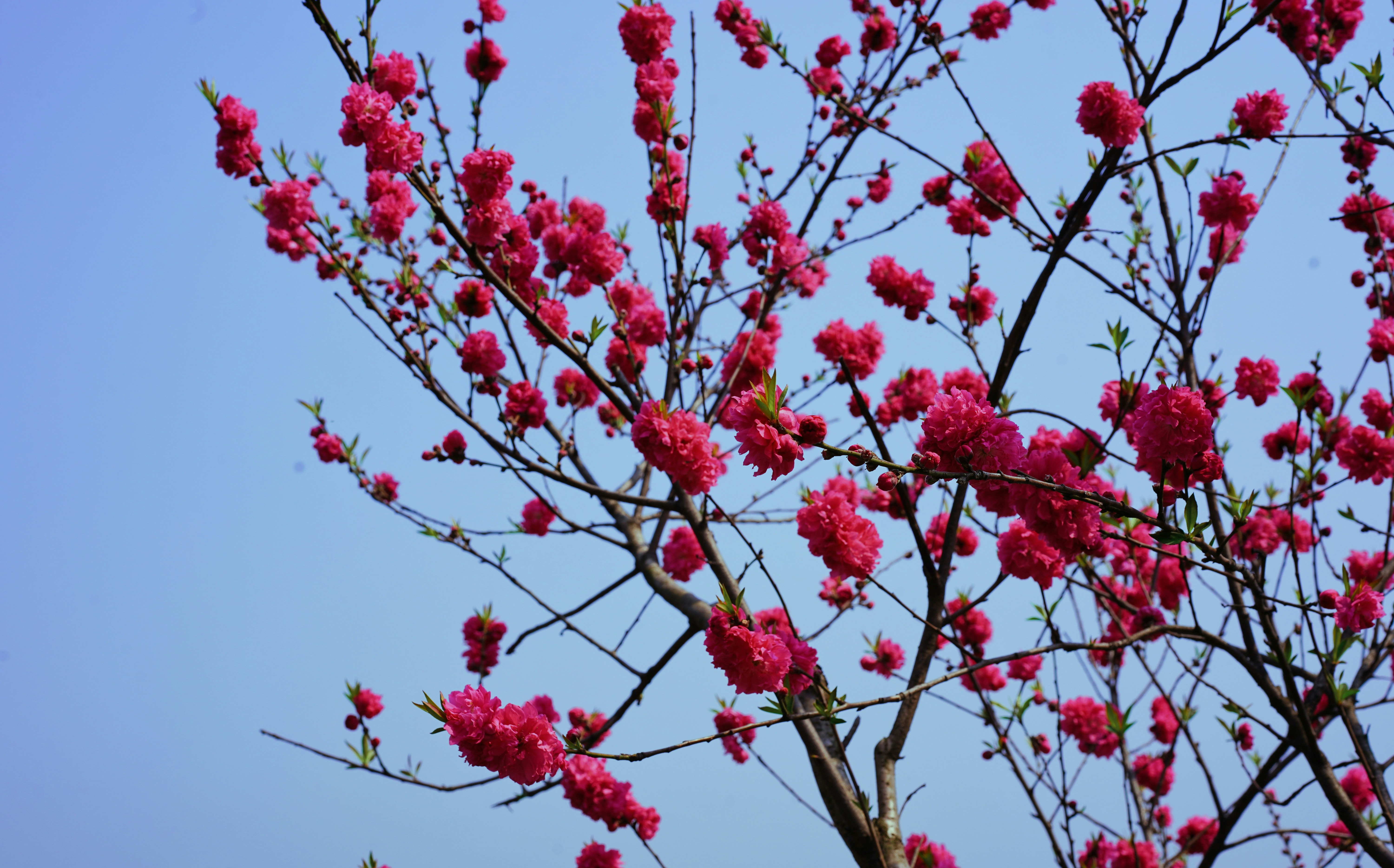 Photo by zhuo