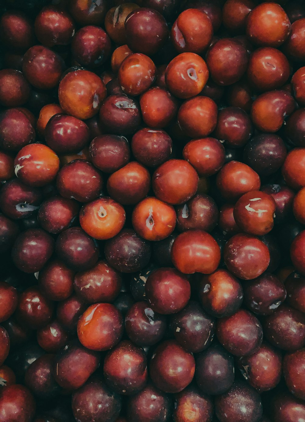 red round fruits on white textile