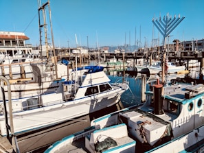 A busy marina filled with various boats docked at the pier. Several fishing boats are visible, each displaying fishing gear and equipment. In the background, there are buildings and several masts standing tall. The sky is clear, and the water reflects the structures around it.