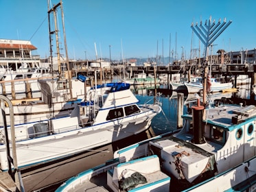 A busy marina filled with various boats docked at the pier. Several fishing boats are visible, each displaying fishing gear and equipment. In the background, there are buildings and several masts standing tall. The sky is clear, and the water reflects the structures around it.