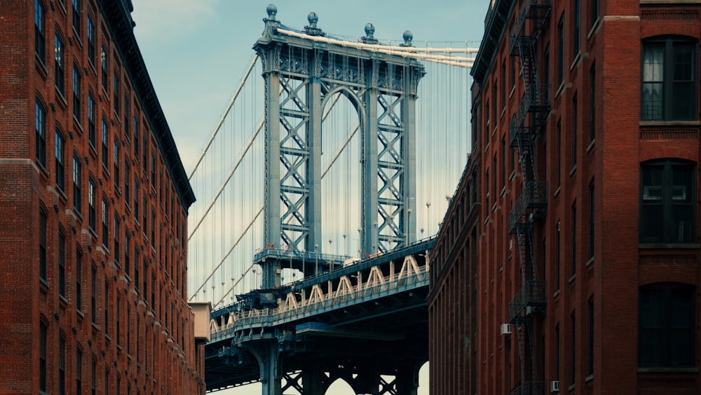 gray bridge under blue sky during daytime