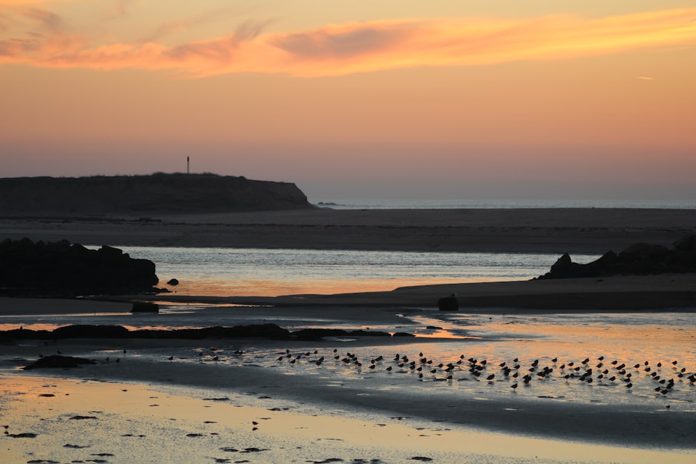 silhouette of mountain on sea shore during sunset