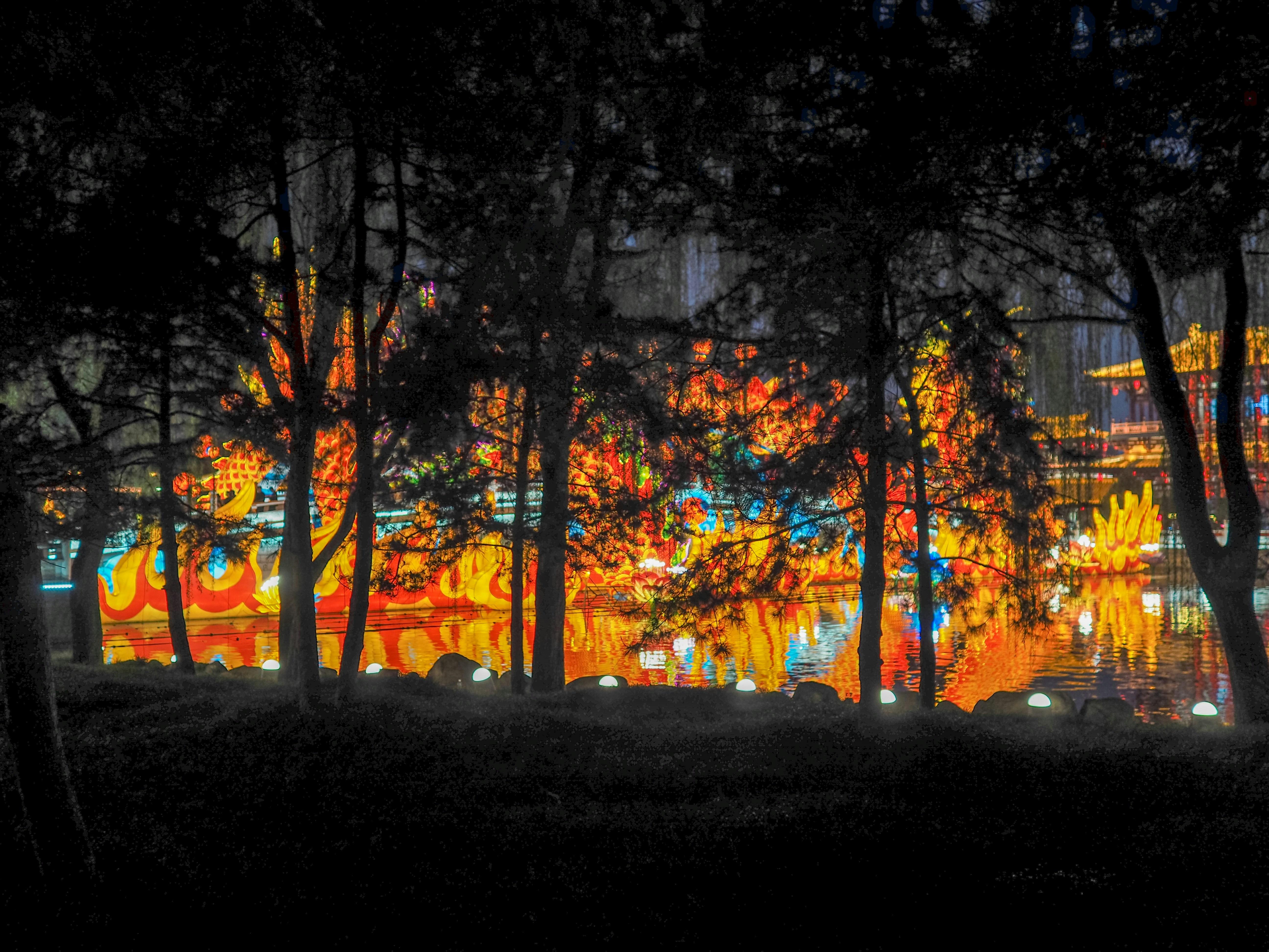 Orange and yellow trees during night time photo – Free Art Image on ...