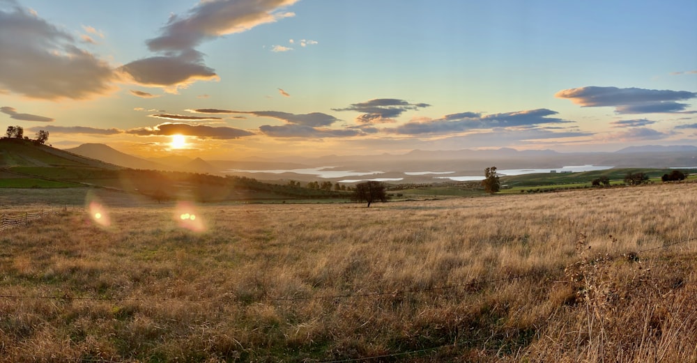 brown grass field during sunset