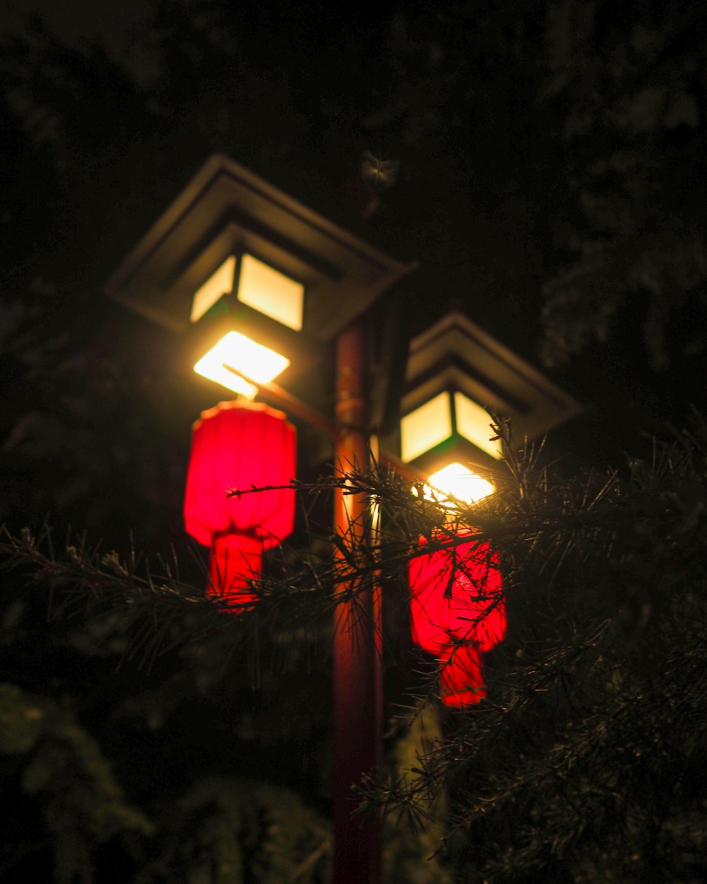 red lantern on tree during nighttime