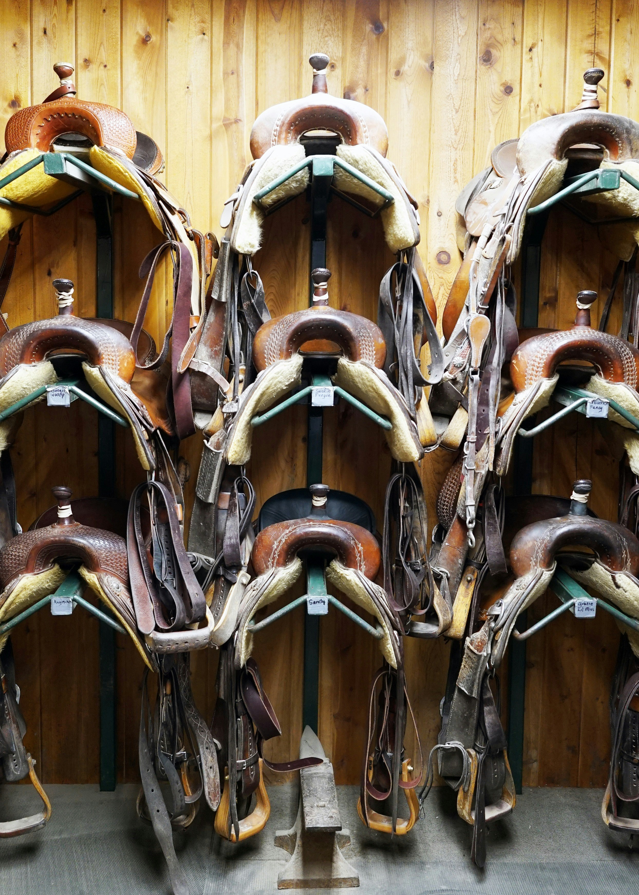 Equestrian Gear Essentials