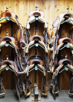 A selection of durable horse saddles displayed in a rustic stable.
