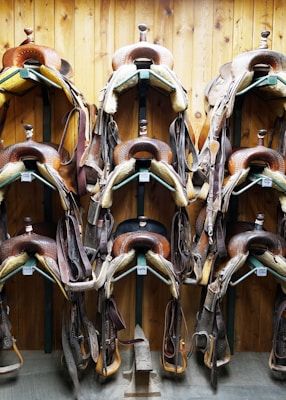 A well-organized display of horse saddles mounted on a wooden wall, neatly arranged in rows. Each saddle is made of brown leather with distinct textures and includes straps and other accessories. The setup suggests a focus on equestrian themes or a stable environment.