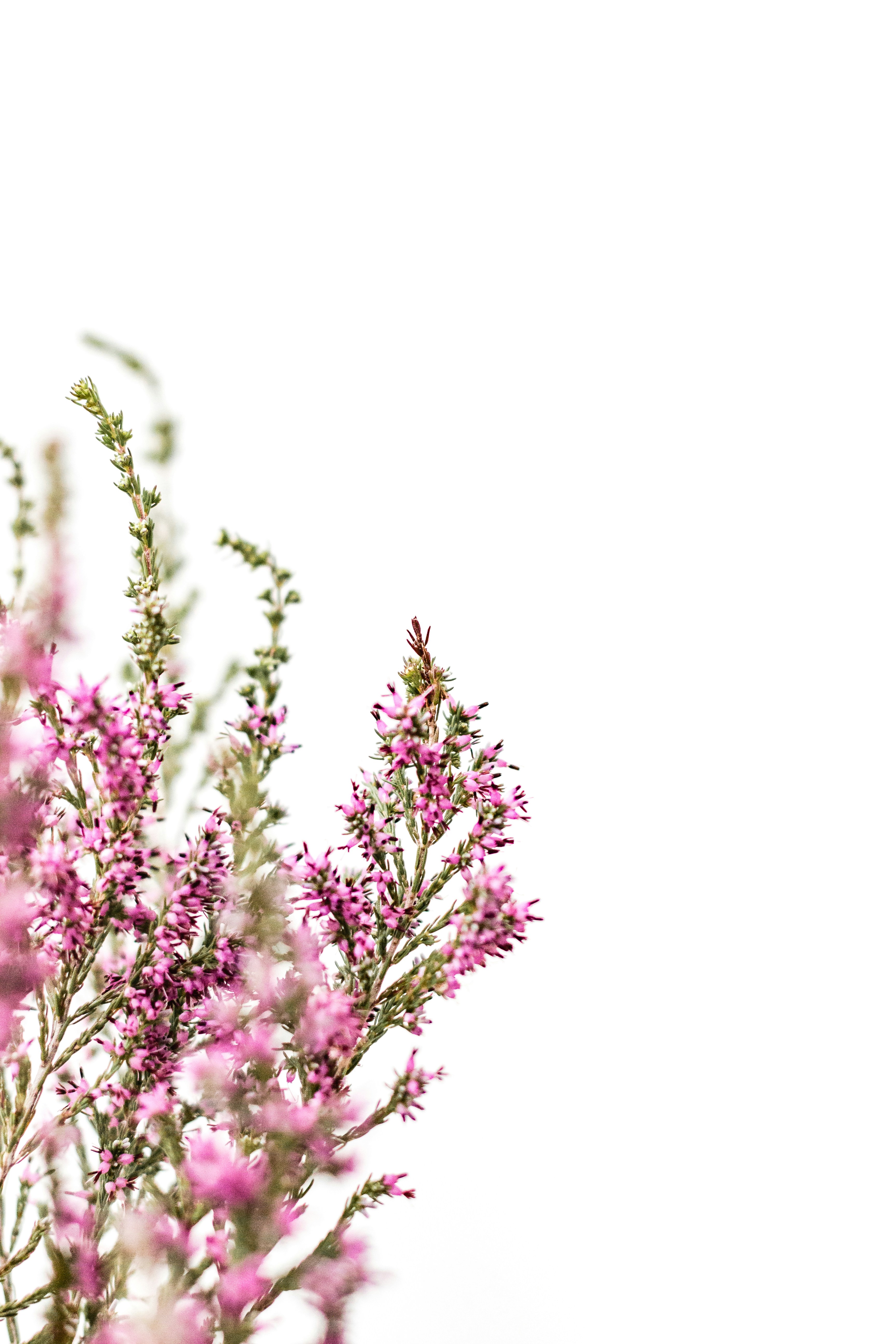 Photo by sincerelymedia