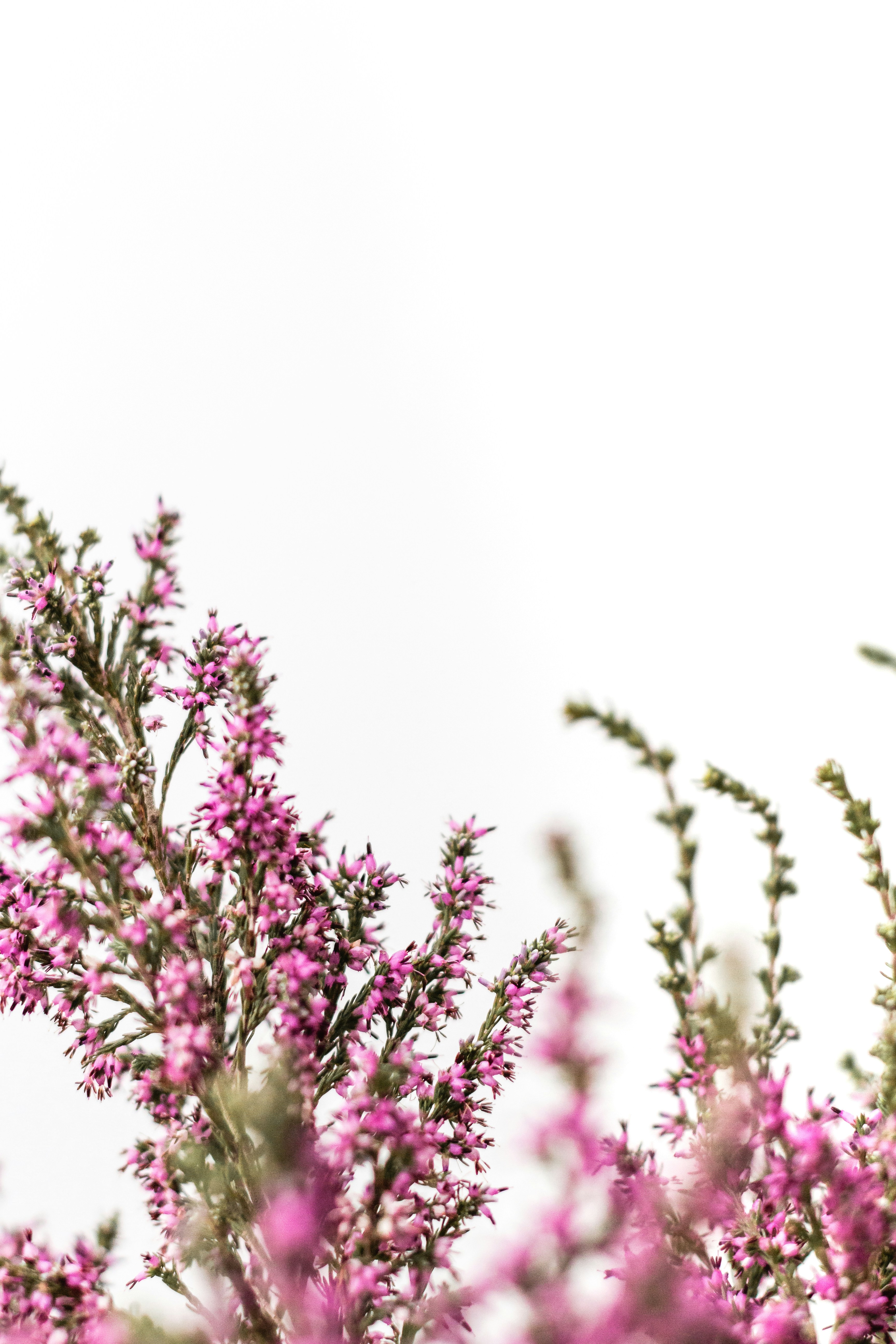 Photo by sincerelymedia