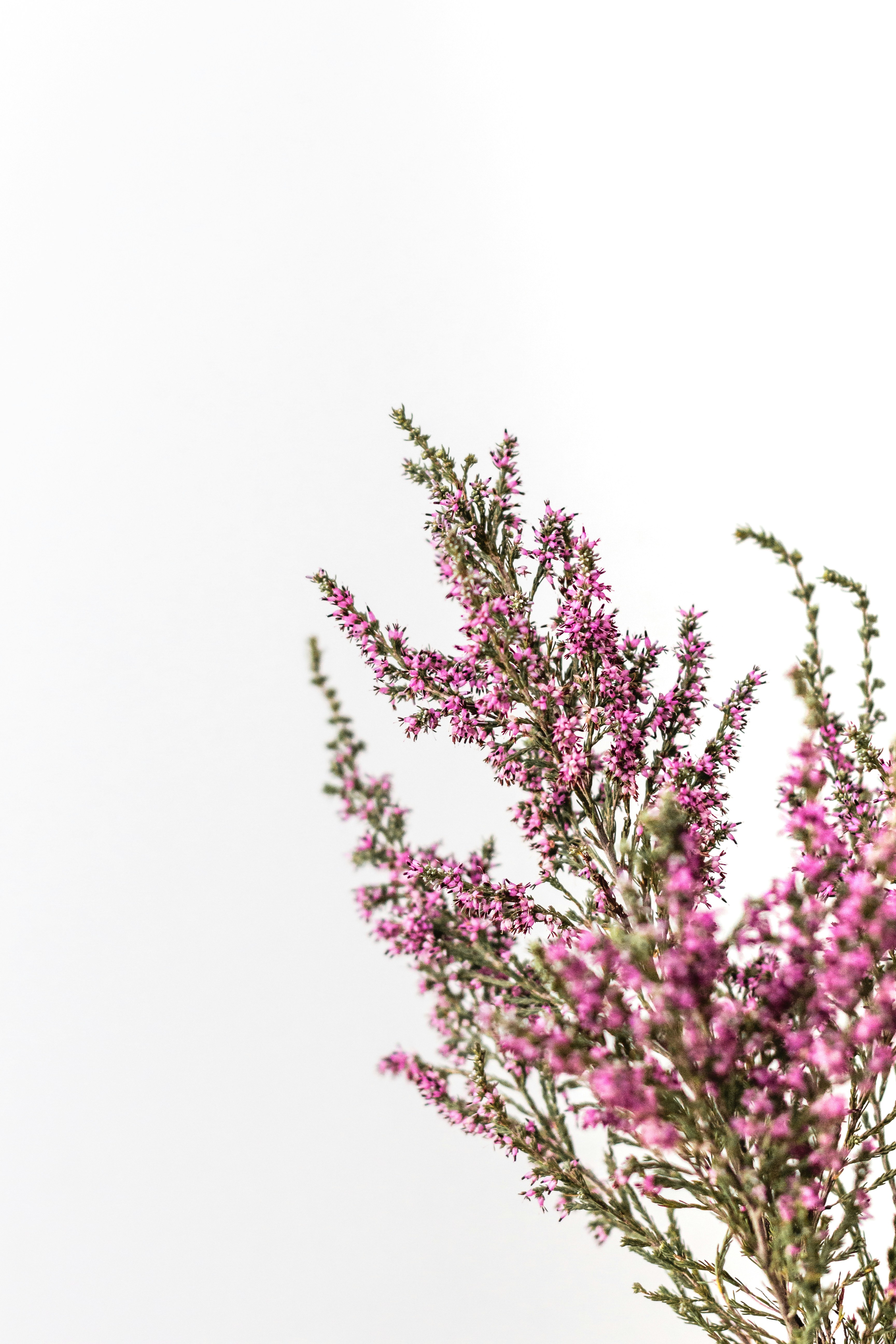 Photo by sincerelymedia