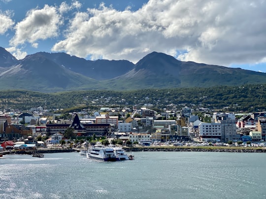 white boat on body of water near city buildings under white clouds and blue sky during in Ushuaia Argentina