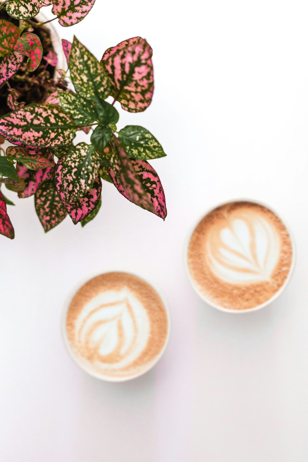 two white ceramic cups with cappuccino