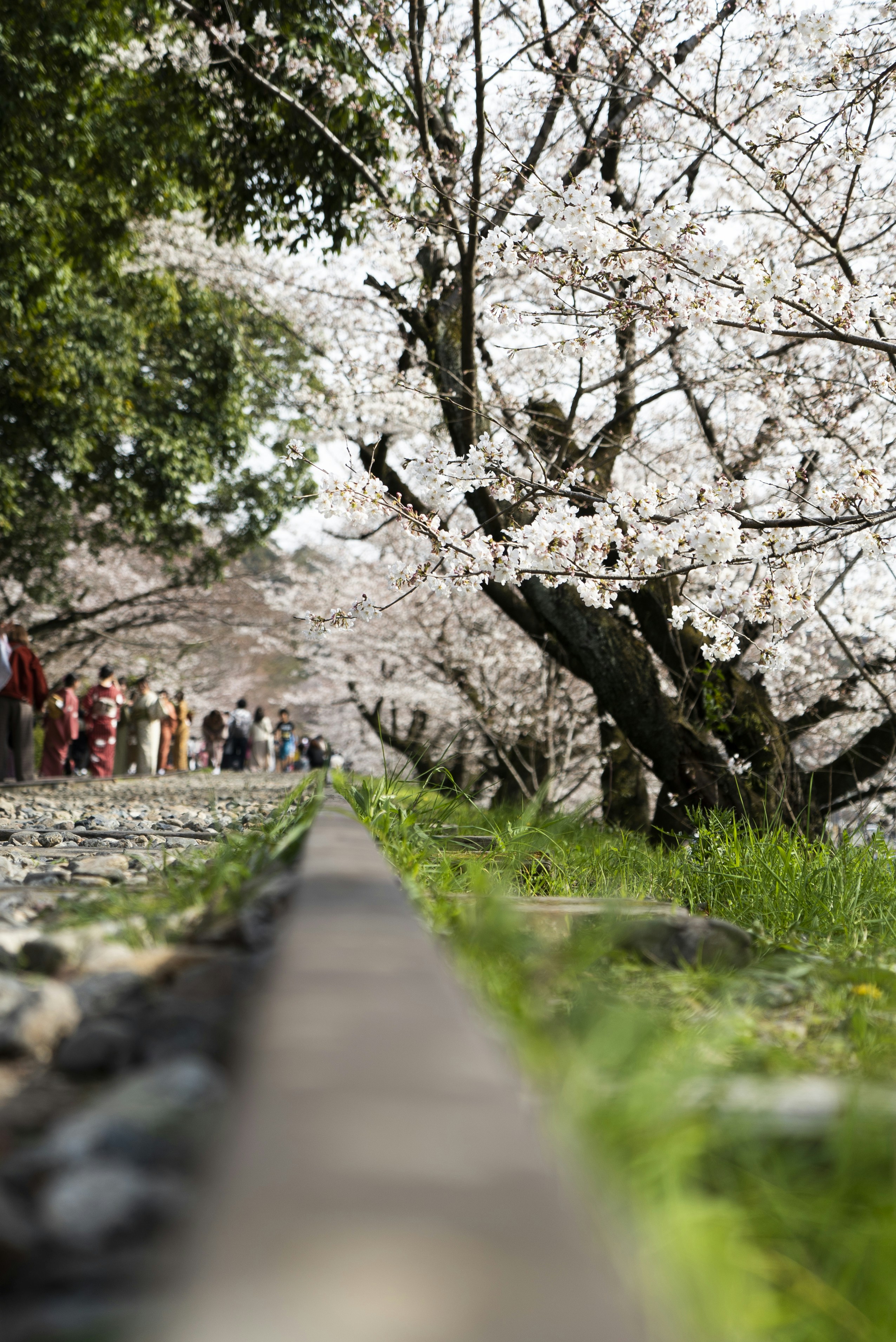 Photo by davidemrich