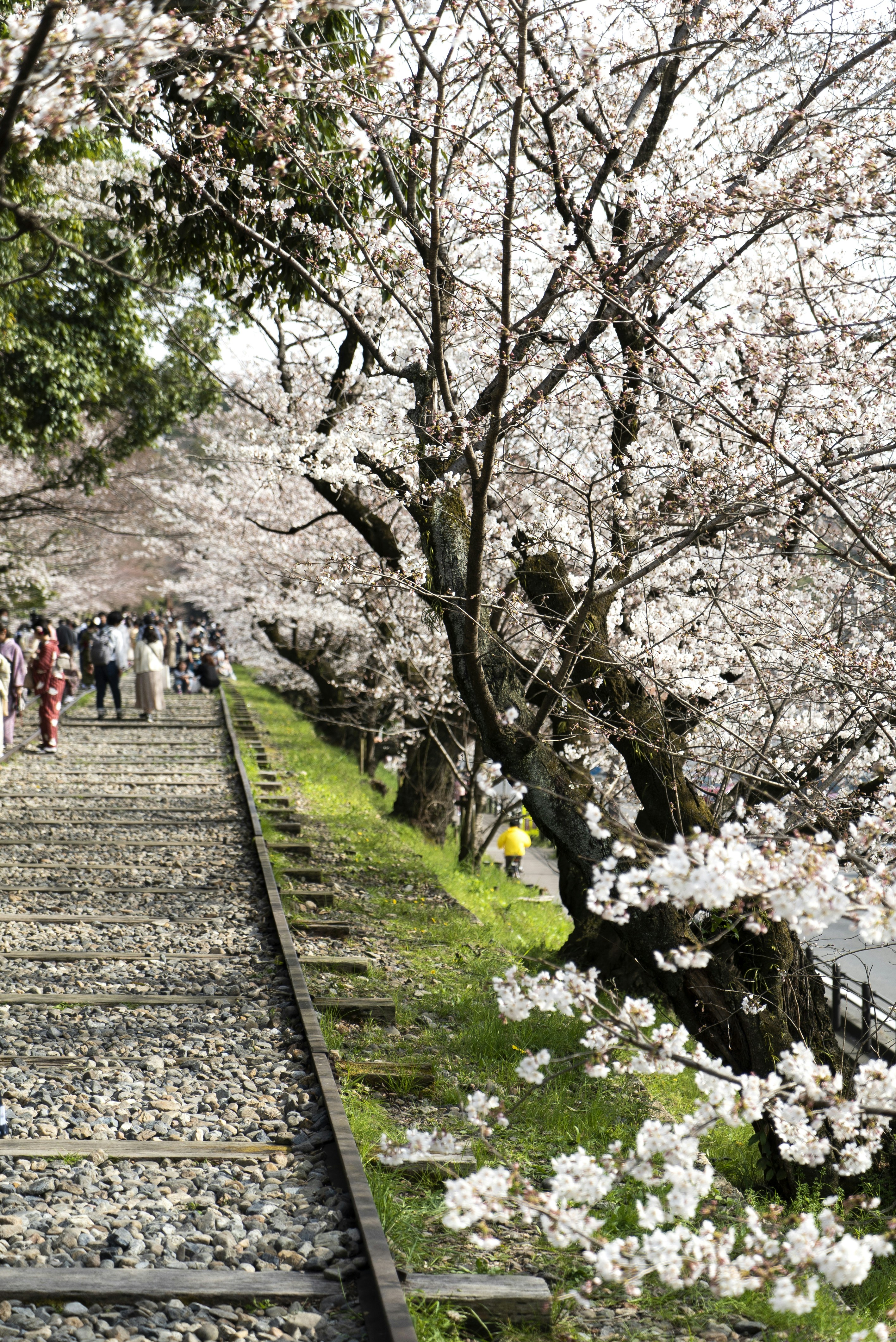 Photo by davidemrich