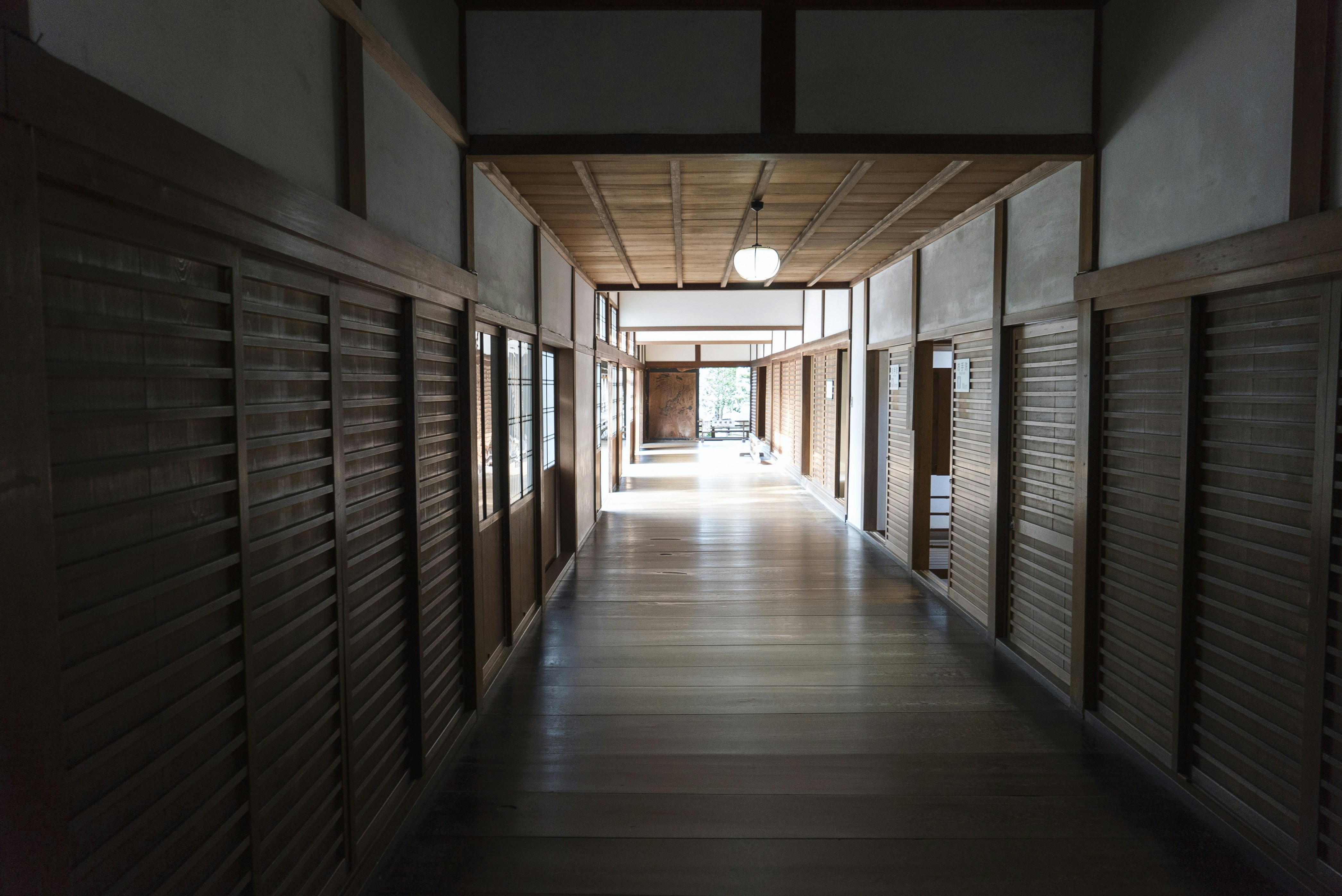 Photo by davidemrich