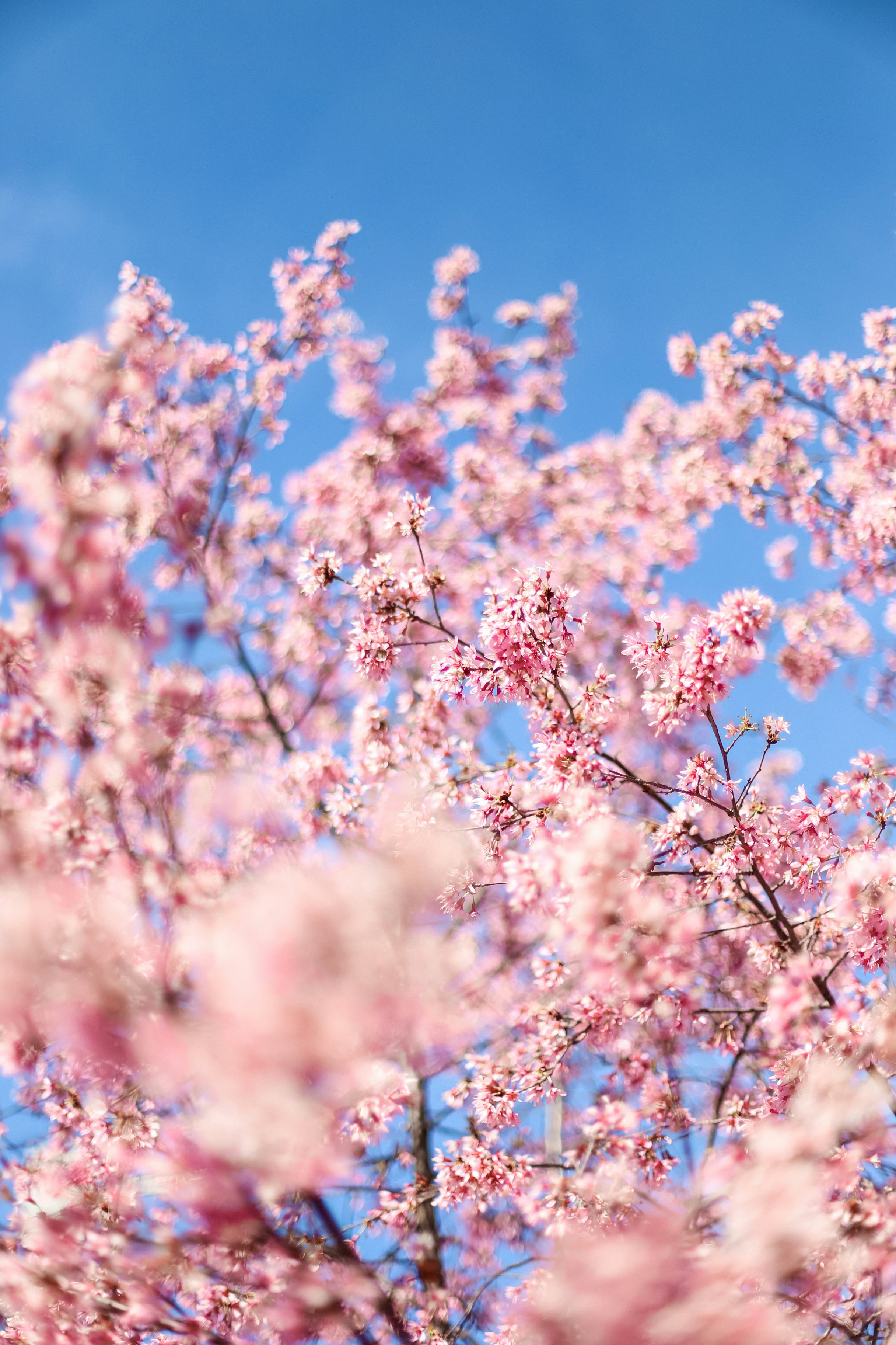 Photo by jessicalfadel