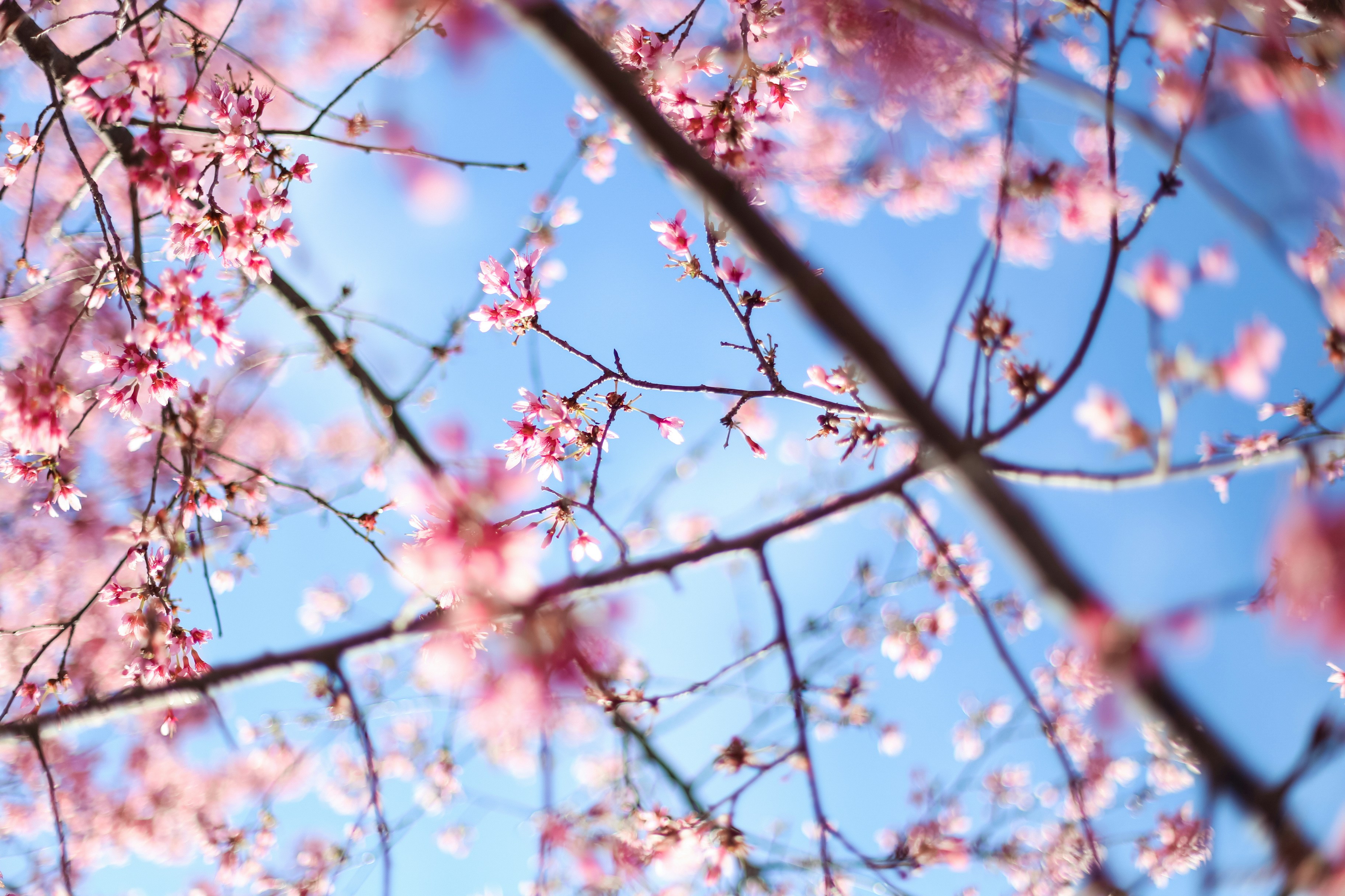 Photo by jessicalfadel