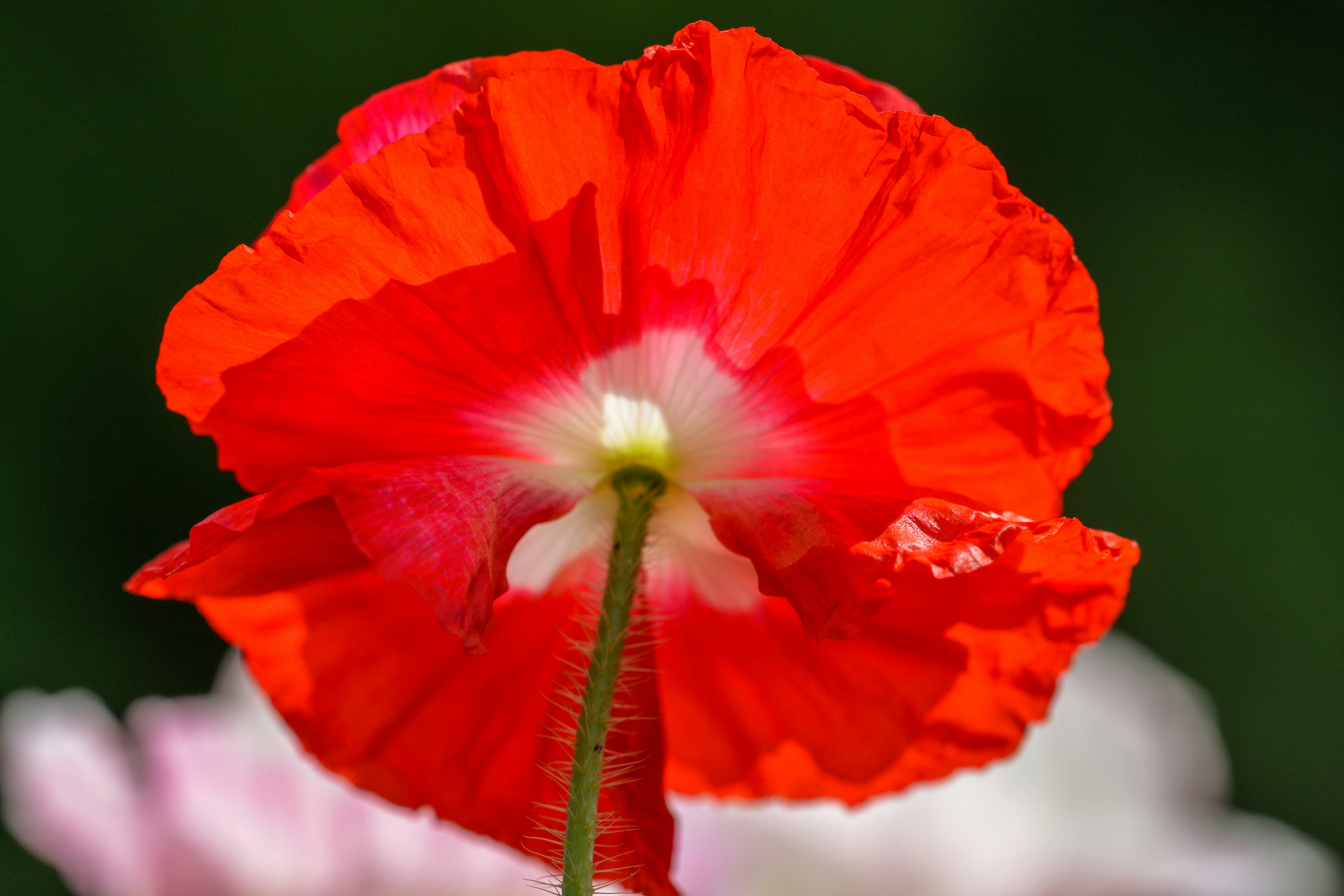 Photo by henrykfoto66