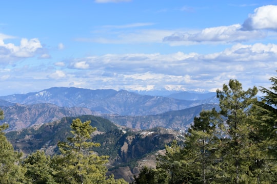 green trees on mountain under white clouds and blue sky during daytime in Kufri India