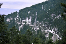 green trees on mountain under white clouds during daytime