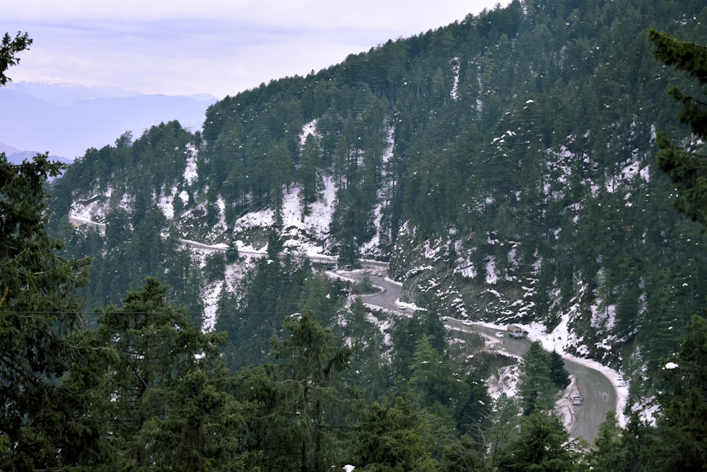 green trees on mountain under white clouds during daytime