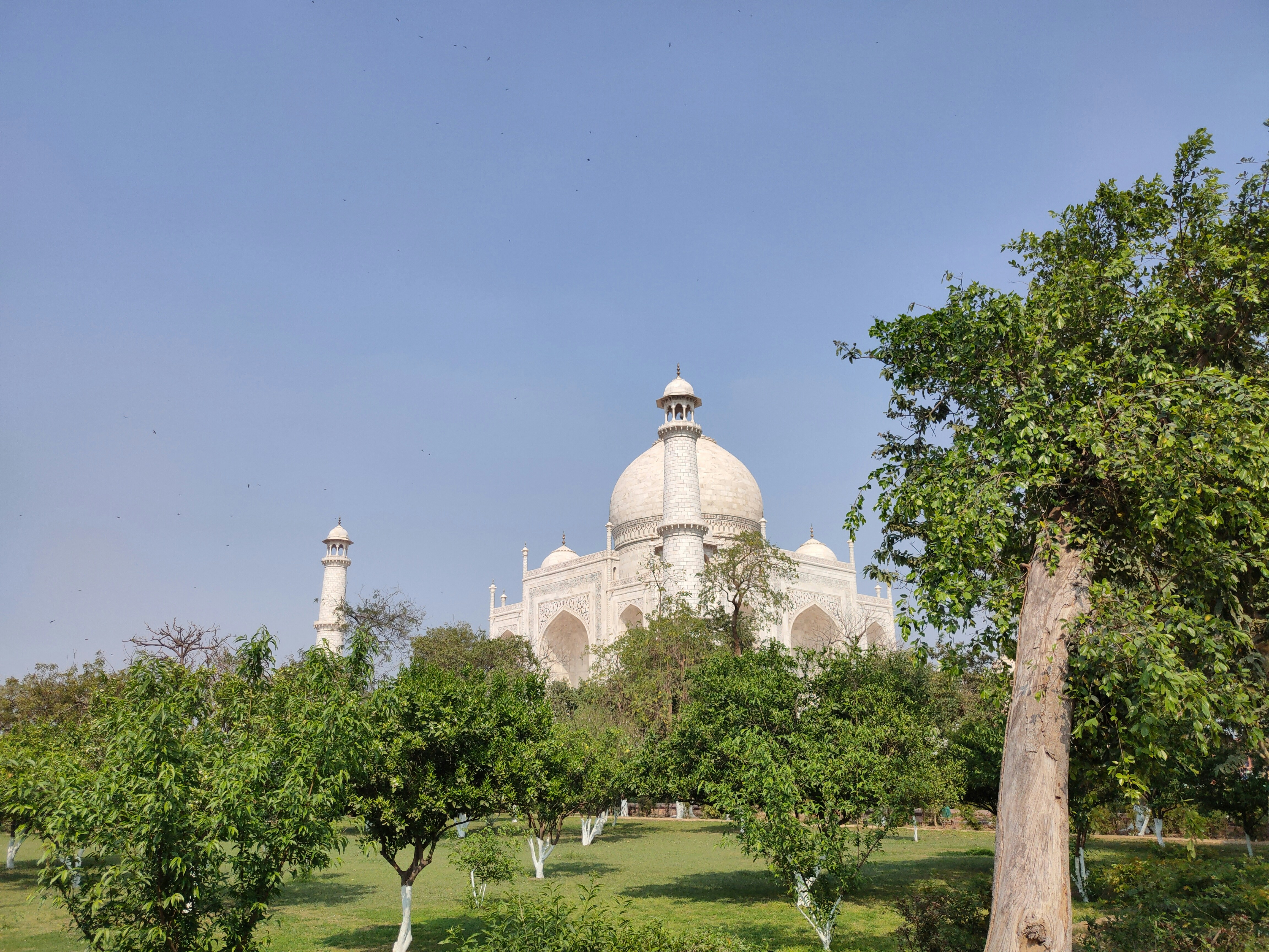 Photo by infinion_focus