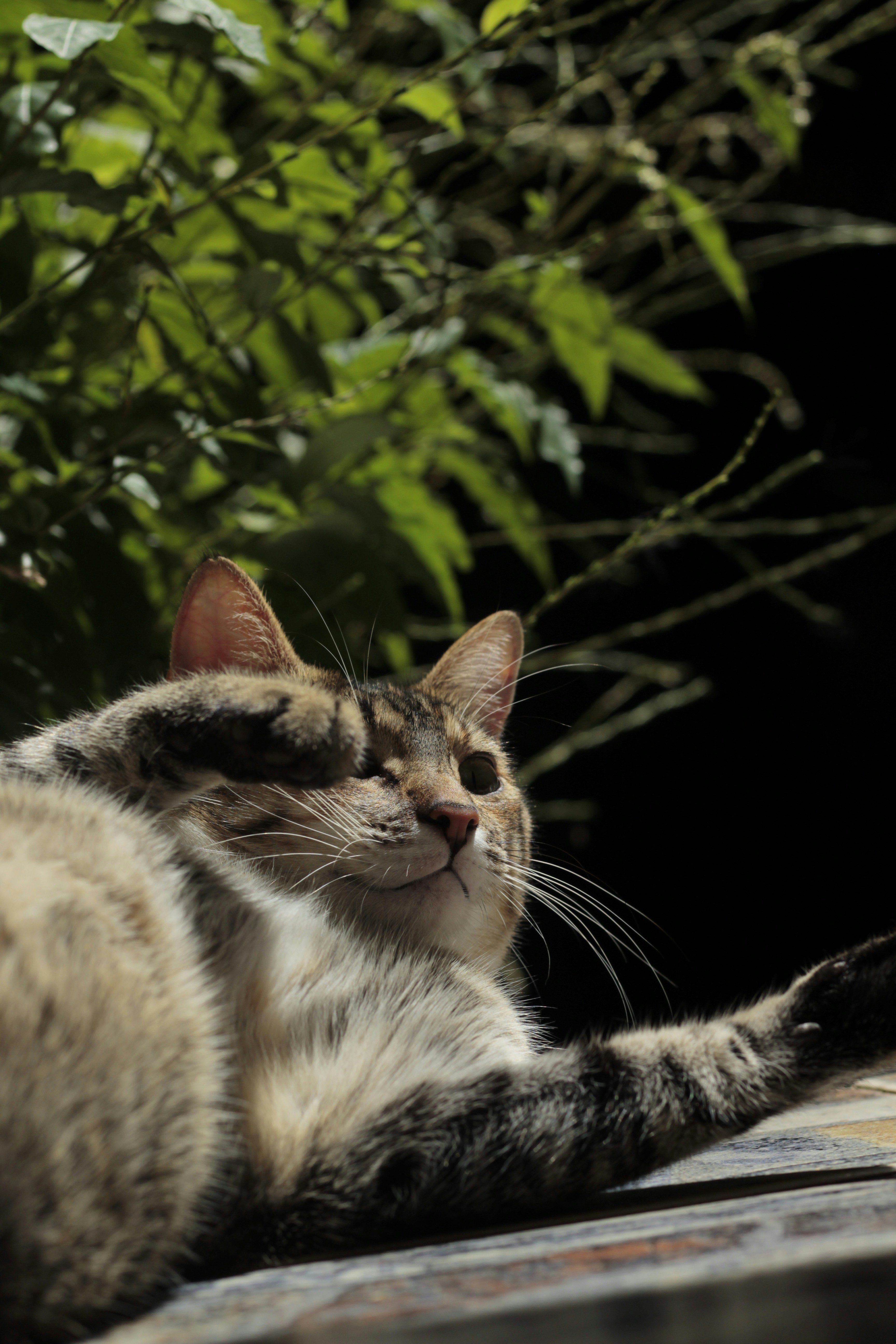 Photo by giisilveira