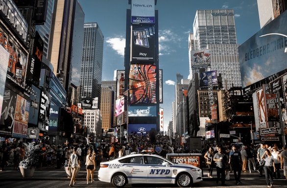 people walking on pedestrian lane during daytime
