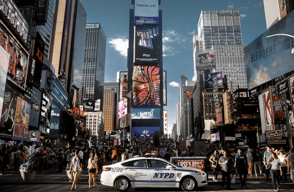 people walking on pedestrian lane during daytime