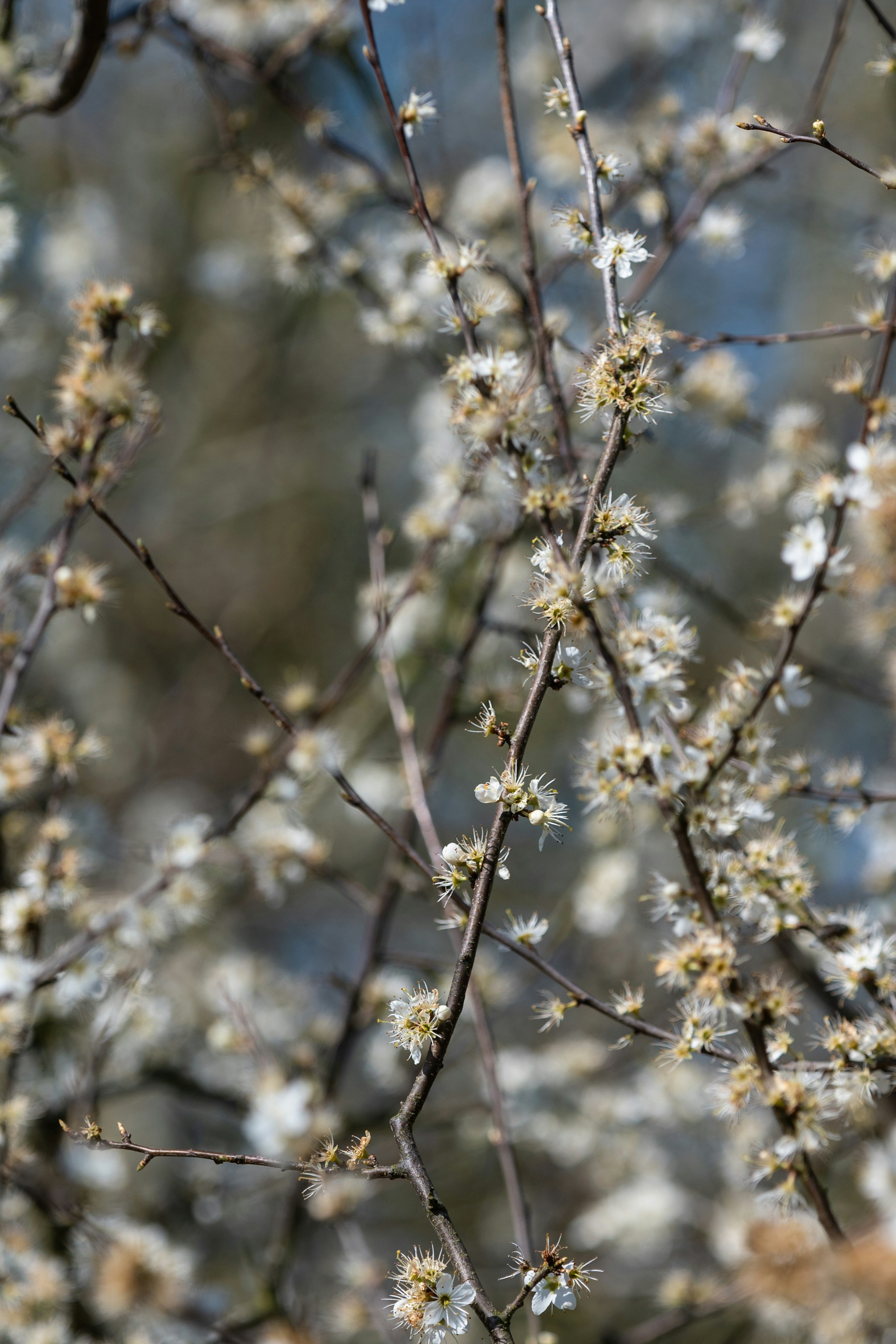 Photo by louisesmithma