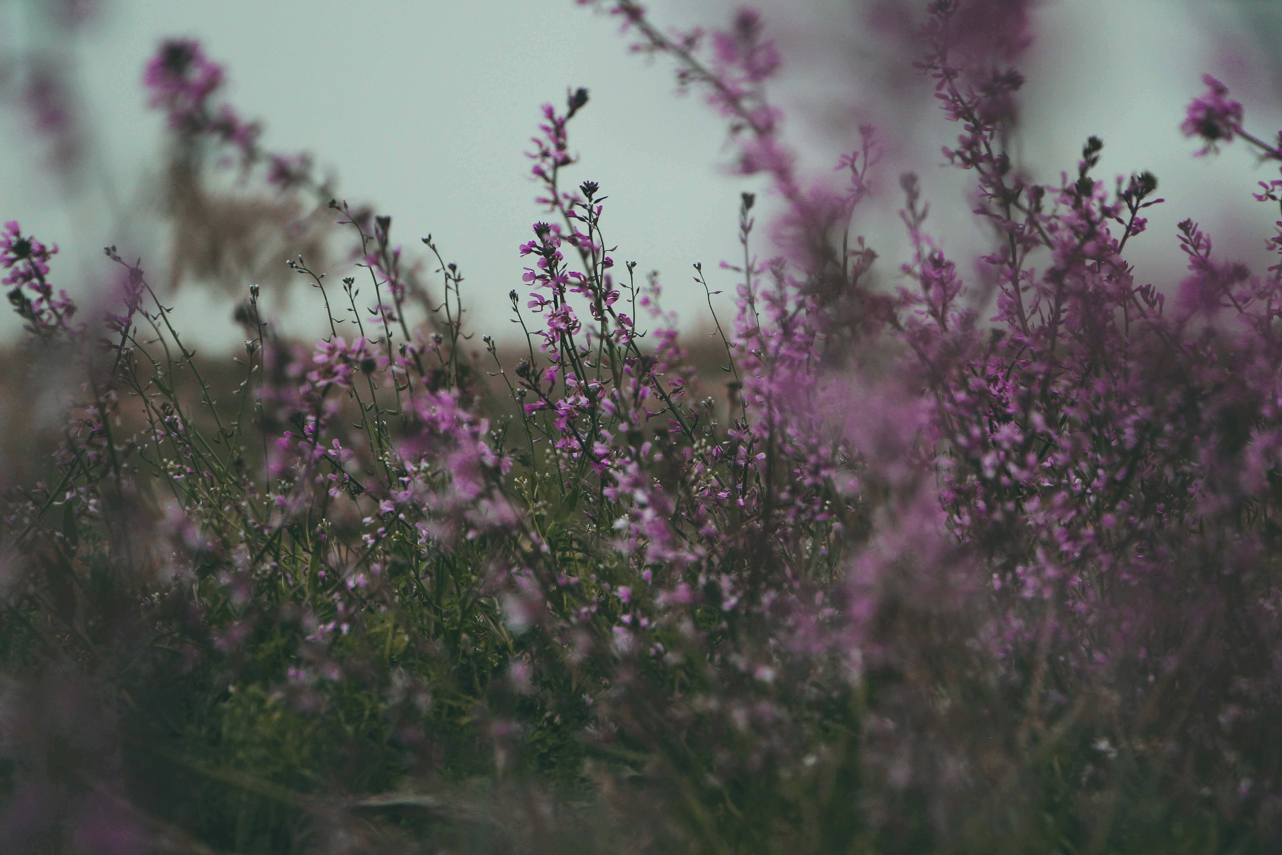 Photo by zahrakarrami