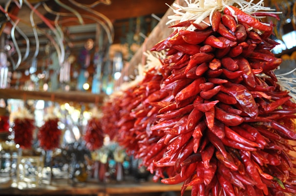 Close-up of dried red chilies hanging in strings, glowing under warm light.