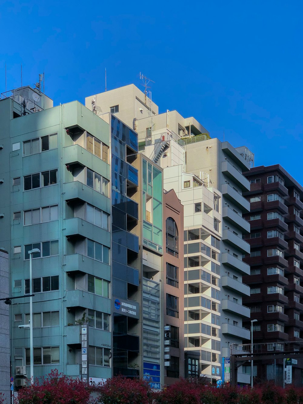 white and brown concrete building under blue sky during daytime