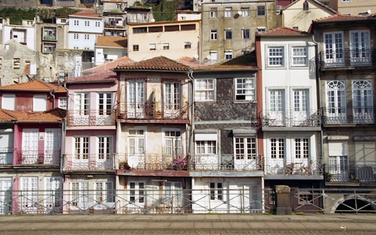 brown and white concrete building during daytime in Cordoaria's Garden Portugal