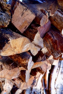 A close-up view of stacked firewood, showcasing a variety of textures and colors in the wood grain. The logs are cut and piled in an orderly fashion, with a focus on the natural patterns formed by the growth rings.