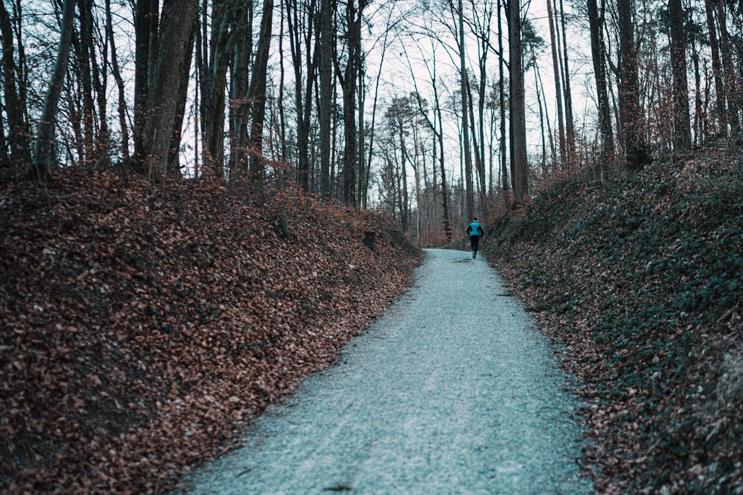 person in red jacket walking on pathway between bare trees during daytime