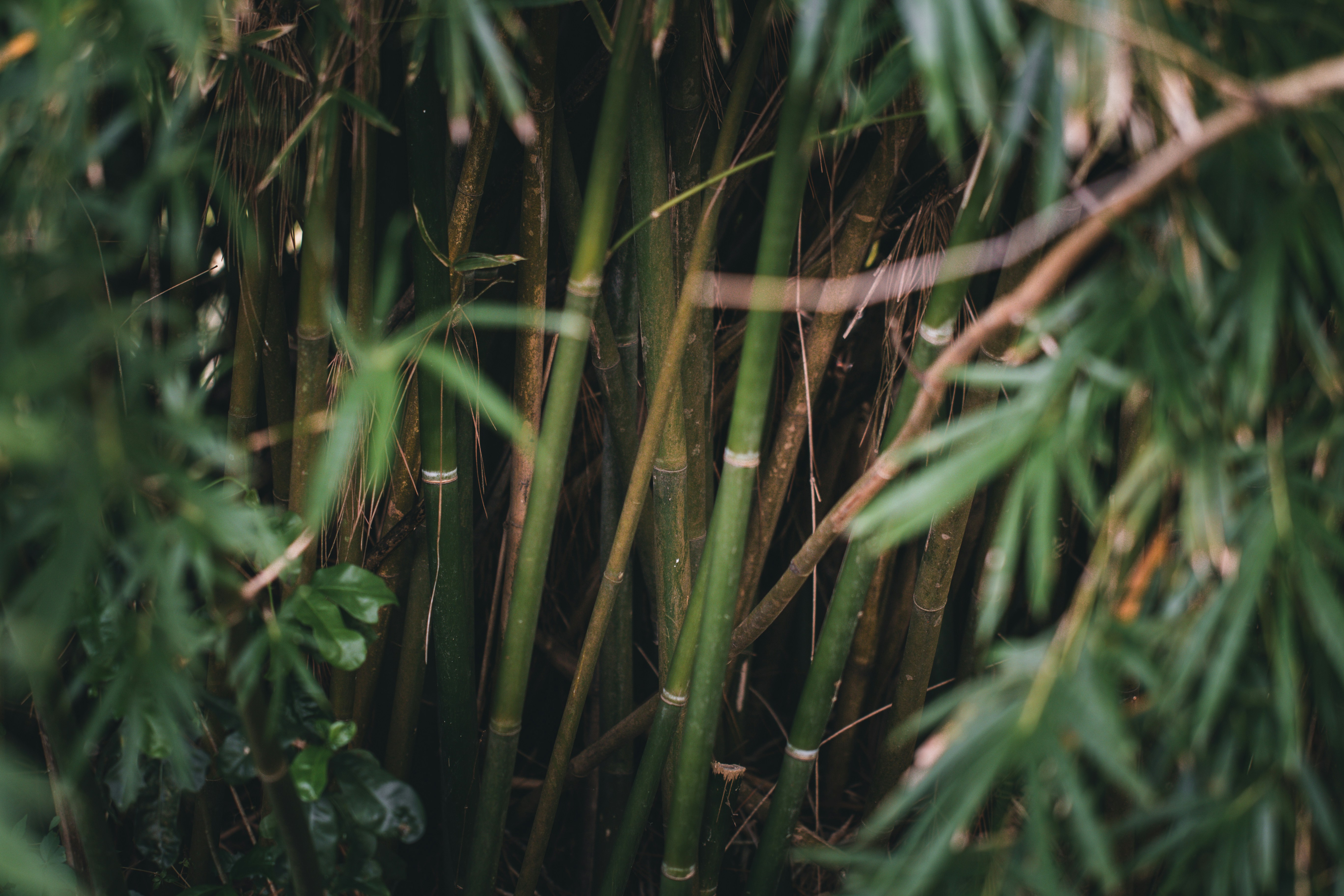 Photo by koolcreation