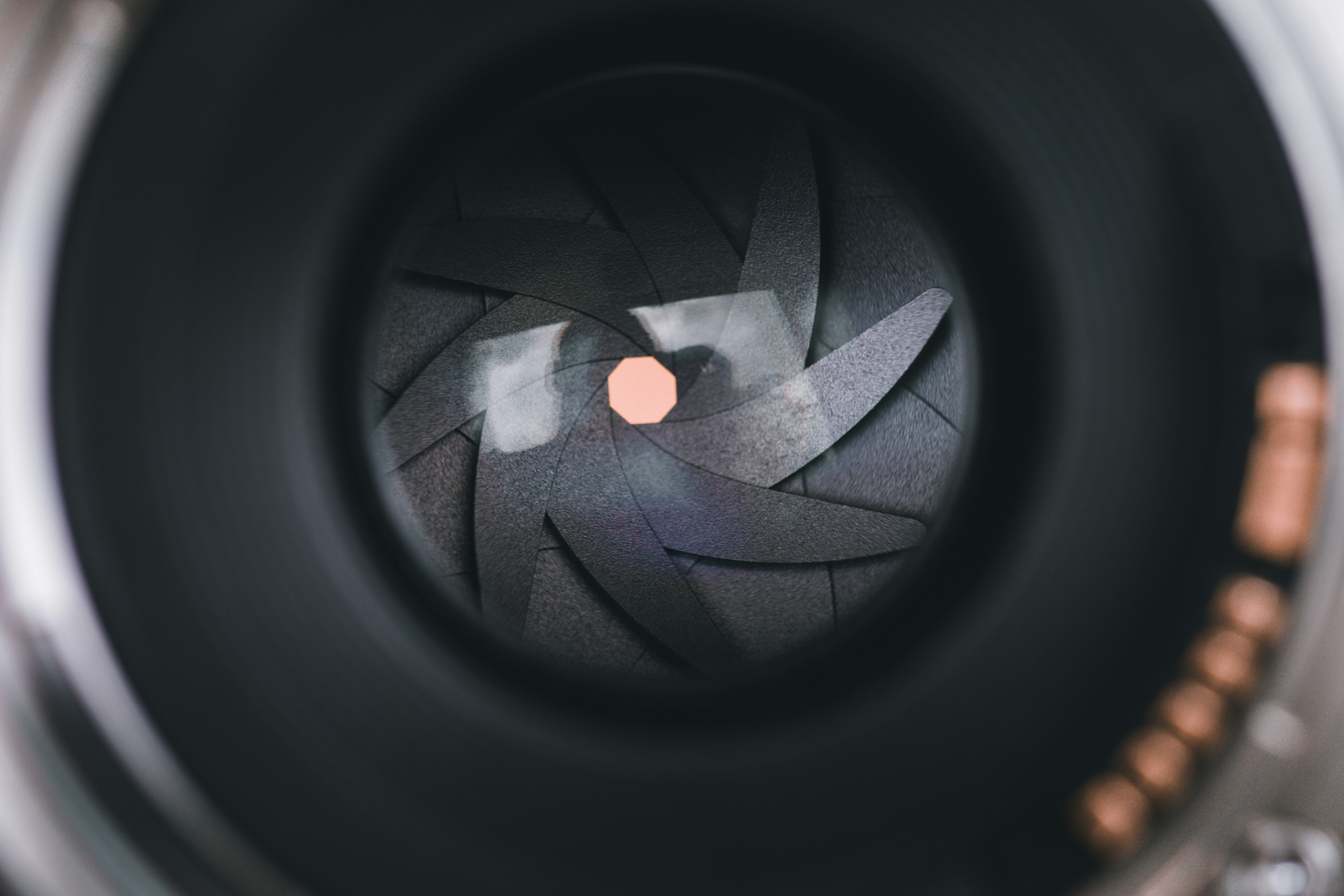 photo-1585251853609-725dbe2e8a01?ixid=M3wxMjA3fDB8MXxzZWFyY2h8NHx8a2VsdWFyYW4lMjB0b2dlbCUyMGJ1bGxzZXllJTIwdGVyY2VwYXR8ZW58MHx8fHwxNzYxNTMyNzgzfDA\u0026ixlib=rb-4.1.0