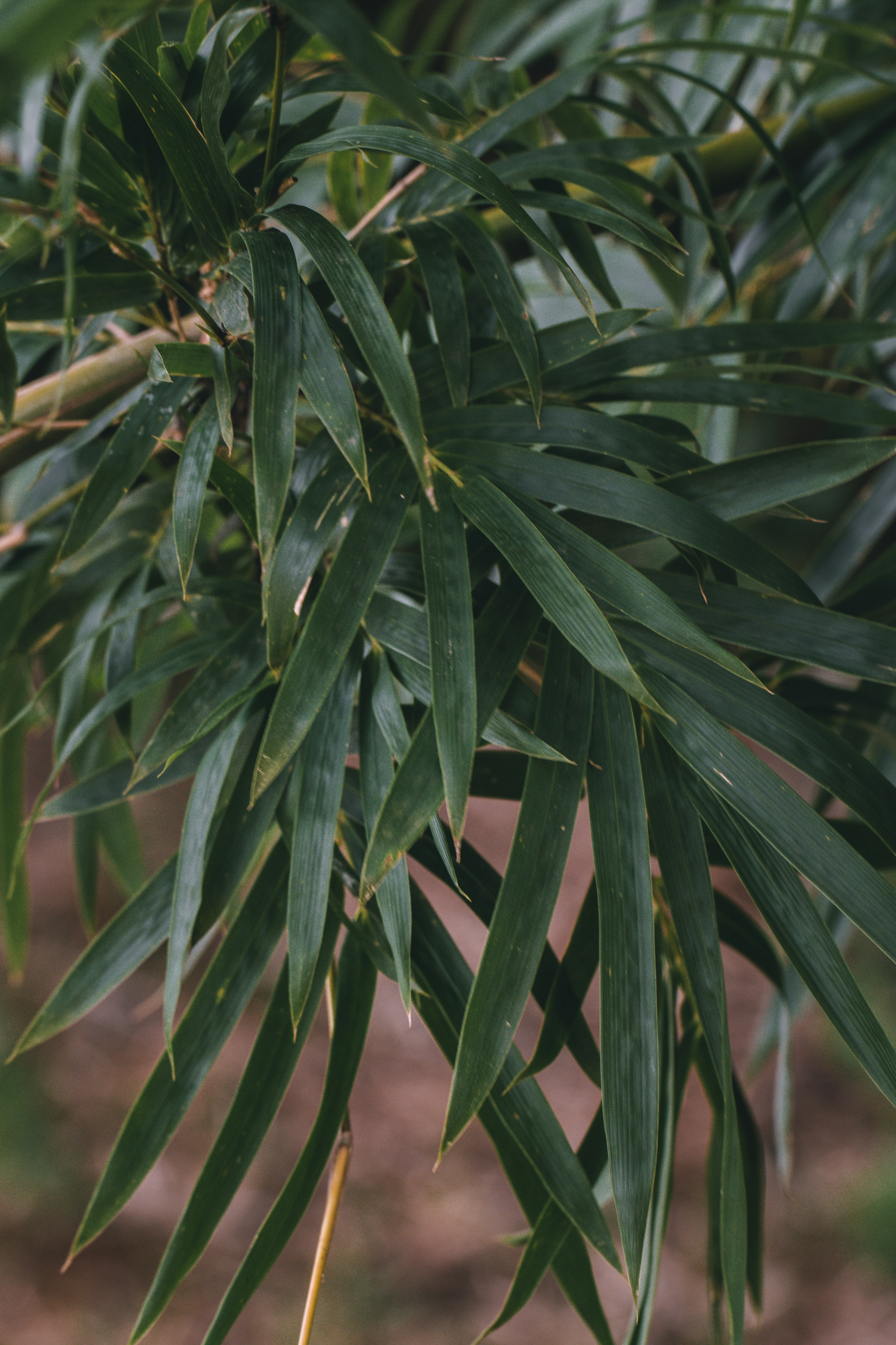 Photo by koolcreation