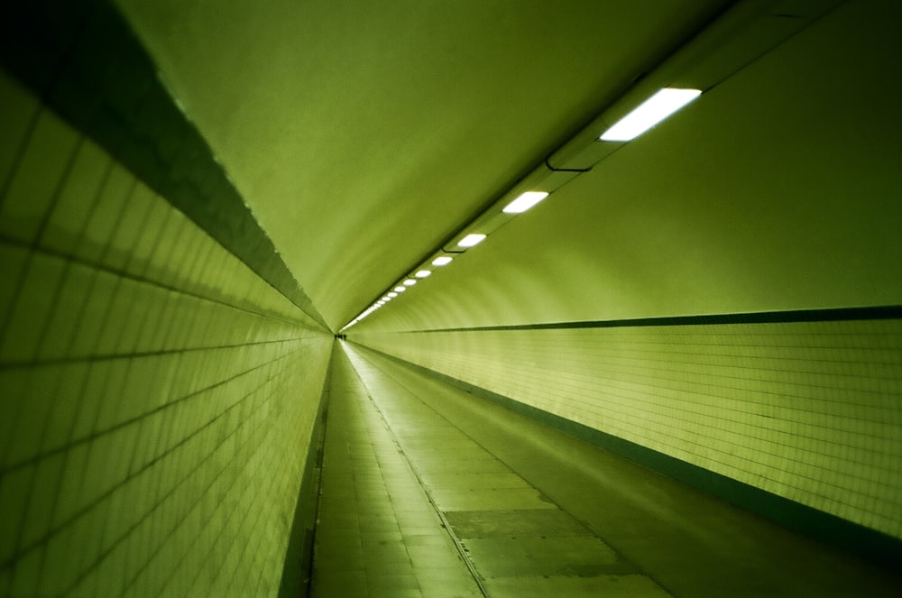 green tunnel with white light